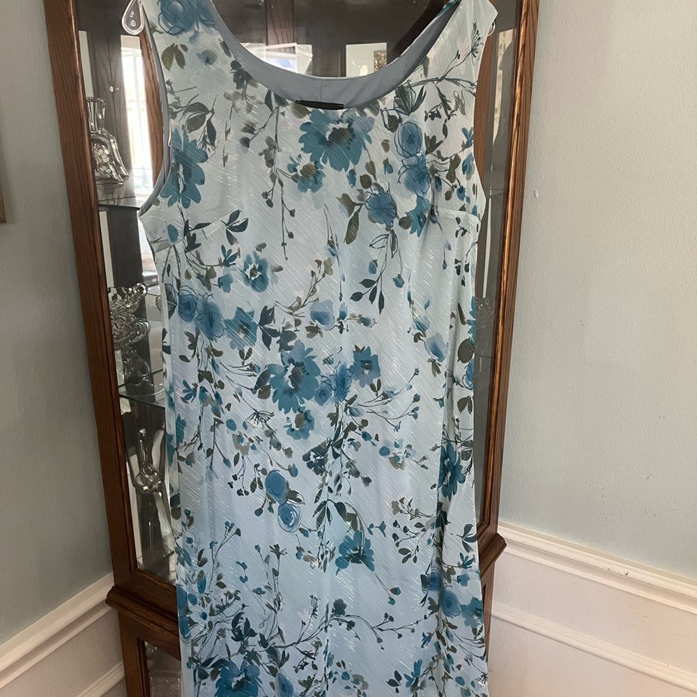 R&M Richards dress with cover 12/14